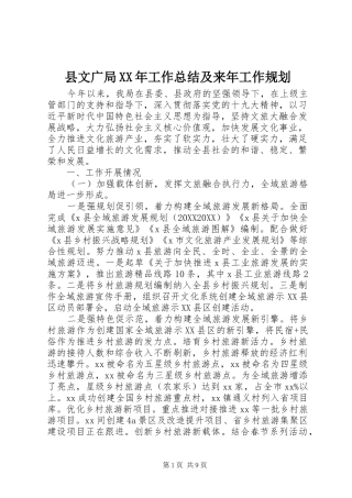 县文广局工作总结及来年工作规划