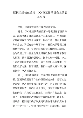 巡视组组长在巡视XX市工作动员会上的表态发言