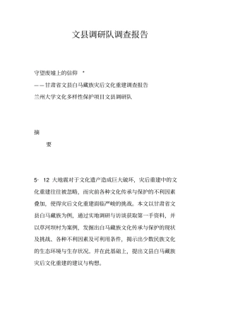 文县调研队调查报告