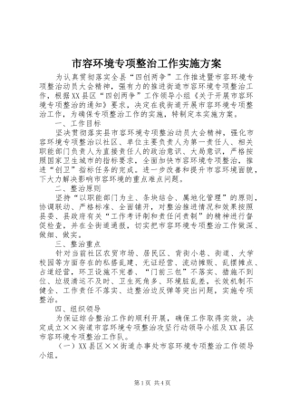 市容环境专项整治工作方案