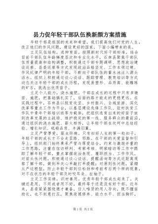 县力促年轻干部队伍换新颜实施方案措施