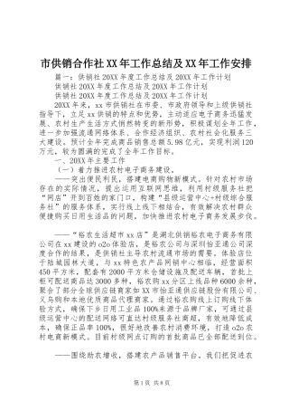 市供销合作社工作总结及工作安排