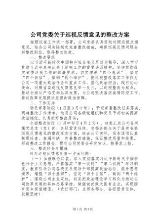 公司党委关于巡视反馈意见的整改实施方案