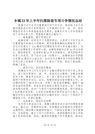 乡镇上半年扫黑除恶专项斗争情况总结