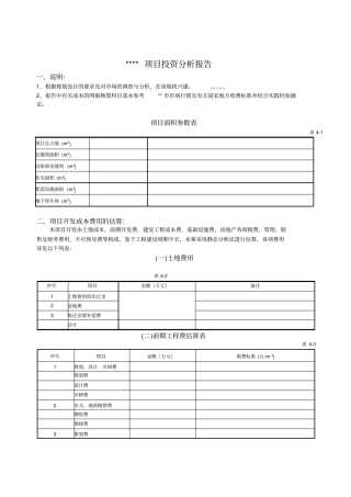 投资分析报告模版