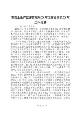 市安全生产监督管理局工作总结及工作打算