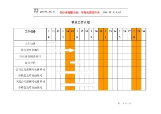 某咨询—华鲁集团项目计划