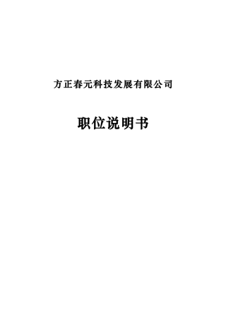 某咨询—北大方正方正春元职位说明书final