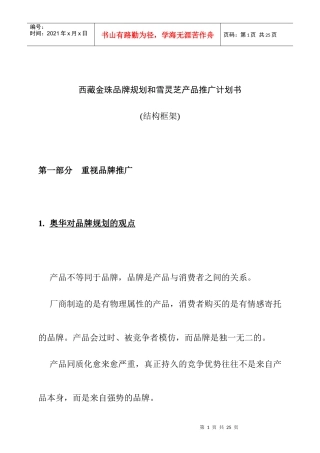 某品牌规划与某产品推广策划案