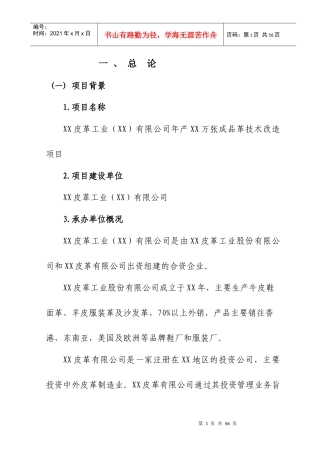 某发展皮革企业可研报告