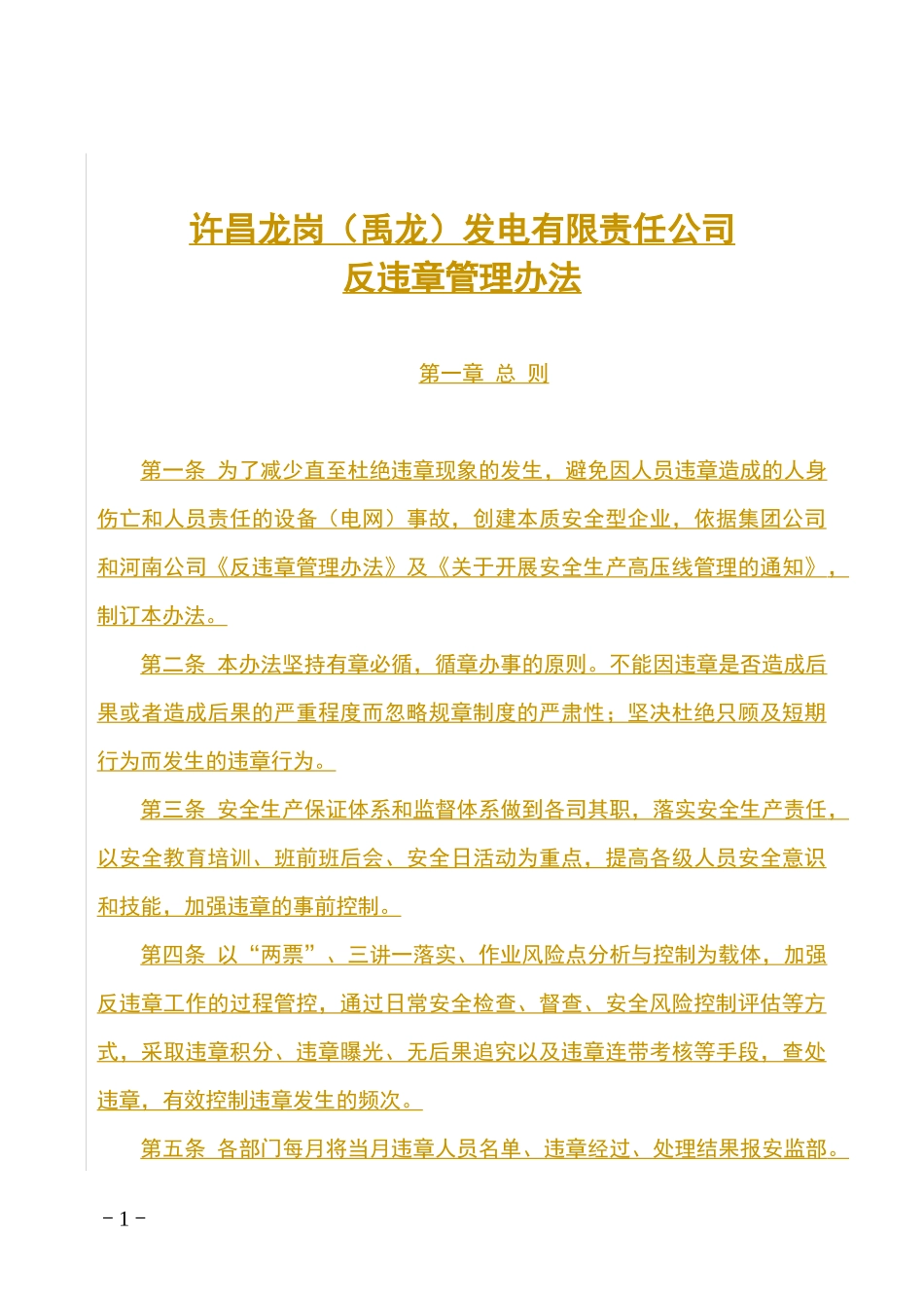 某发电有限责任公司反违章管理办法_第1页