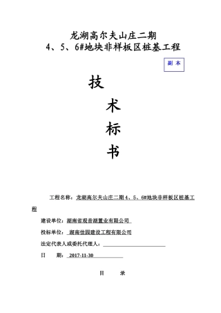 某地块非样板区桩基工程技术标书