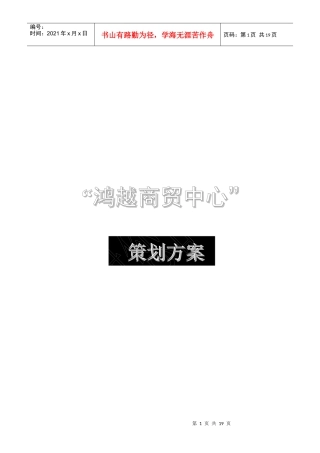 某商贸中心策划方案