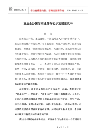 某国际商业部分初步发展建议书
