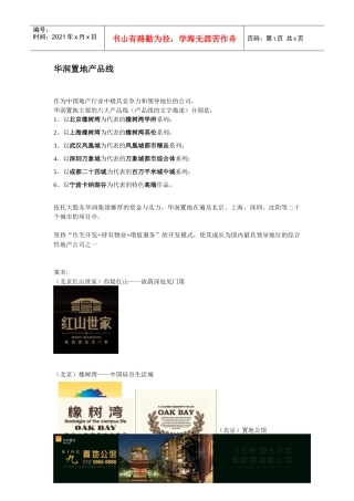 某地产产品线