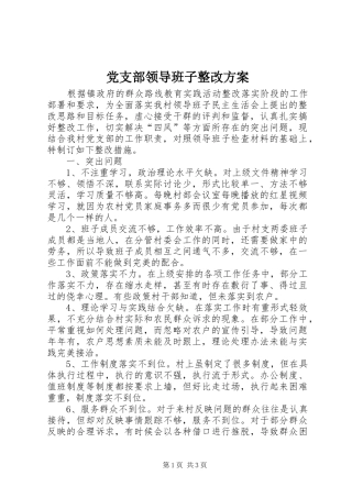 党支部领导班子整改实施方案