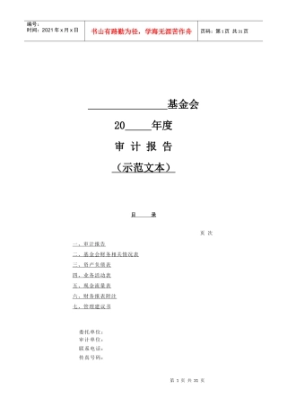 某基金会年度审计报告