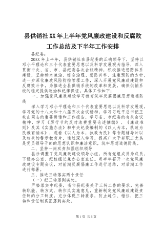 县供销社上半年党风廉政建设和反腐败工作总结及下半年工作安排