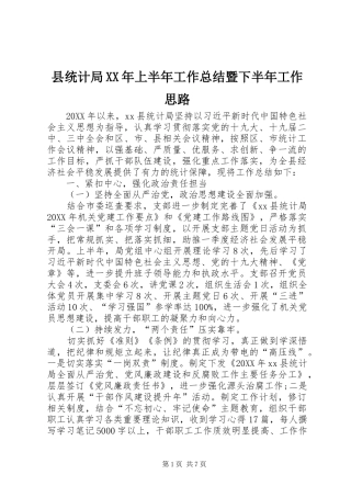 县统计局上半年工作总结暨下半年工作思路