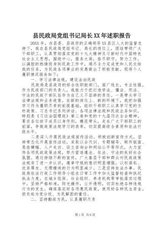 县民政局党组书记局长述职报告