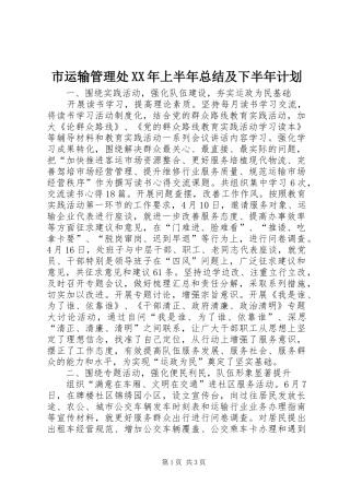 市运输管理处上半年总结及下半年计划