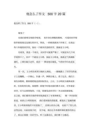 他怎么了作文500字20篇