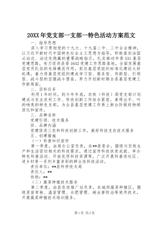 XX年党支部一支部一特色活动实施方案范文