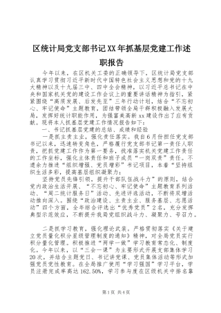 区统计局党支部书记抓基层党建工作述职报告