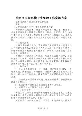 城市河洪道环境卫生整治工作方案