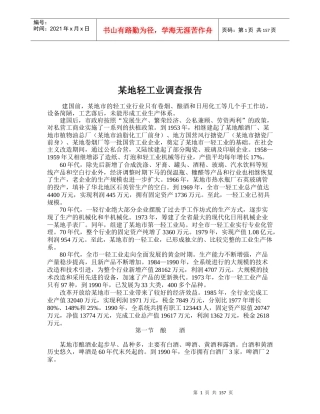 某地轻工业调查报告