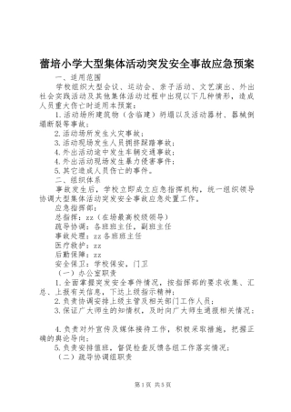 蕾培小学大型集体活动突发安全事故应急处理预案