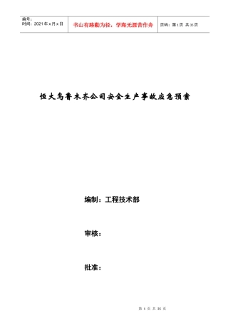 某地产乌鲁木齐公司安全生产事故应急预案