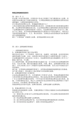 某品牌战略规划报告