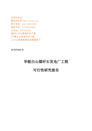 某发电厂工程可行性研究报告