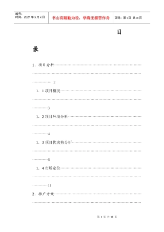某国际大厦项目分析推广方案