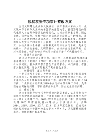 脱贫攻坚专项审计整改实施方案