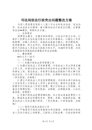 司法局依法行政突出问题整改实施方案