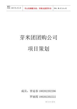 某团购公司项目策划