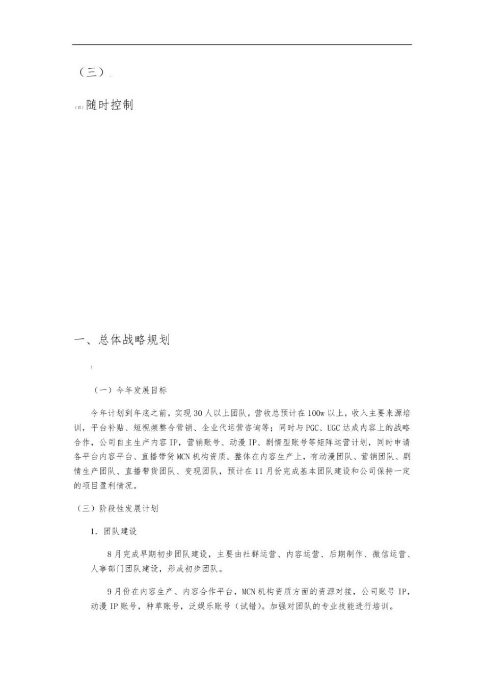 创业公司发展战略及规划_第2页