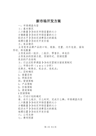 新市场开发实施方案