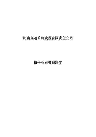 某公路发展公司母子公司管理规则