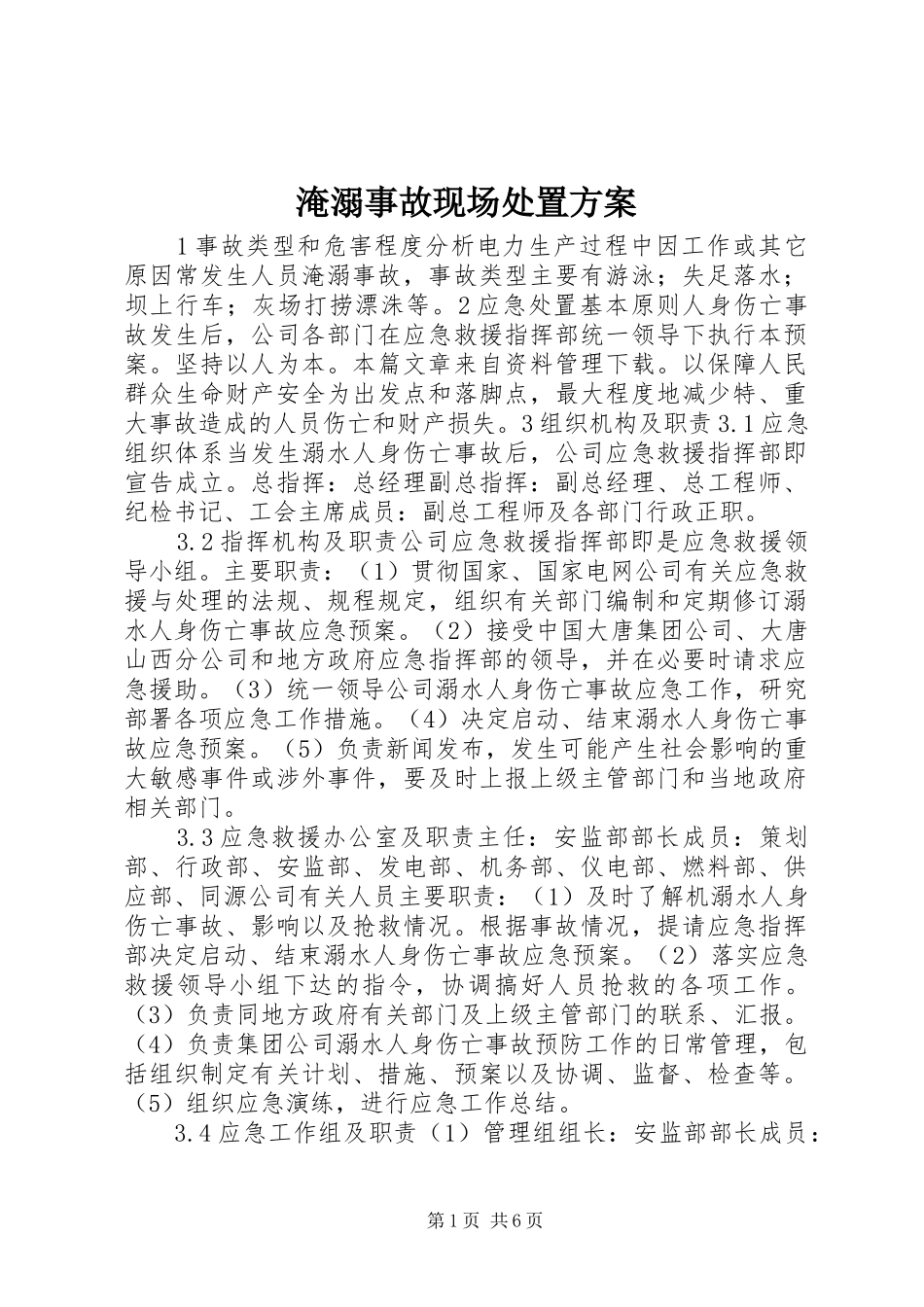 淹溺事故现场处置实施方案_第1页