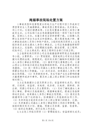 淹溺事故现场处置实施方案