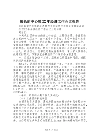 镇长的中心镇经济工作会议报告