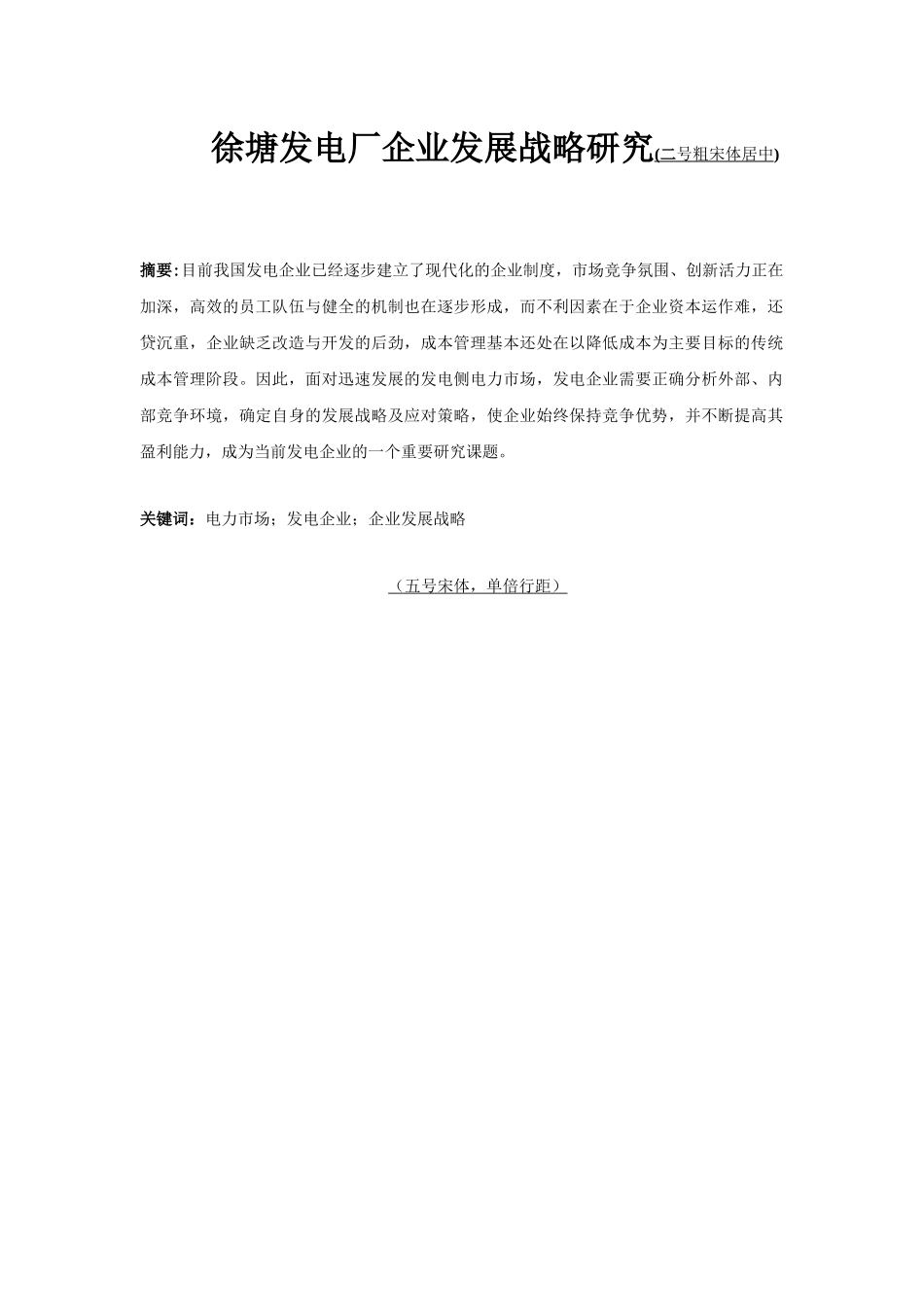 某发电厂企业发展战略研究_第3页