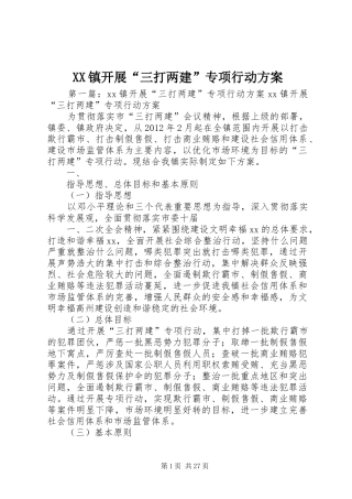 XX镇开展“三打两建”专项行动实施方案