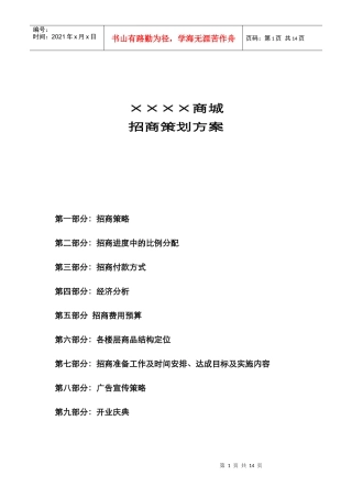 某商城招商策划方案