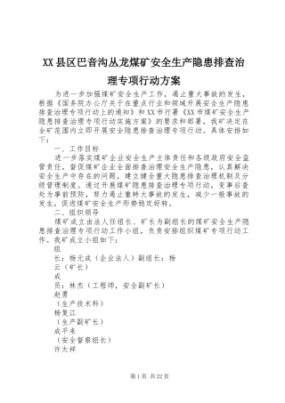 XX县区巴音沟丛龙煤矿安全生产隐患排查治理专项行动实施方案