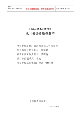 某化工公司设计安全诊断报告书