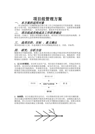 某大型公司内部项目组管理方案(doc 7)